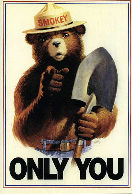 Only you can prevent rogue IoT devices